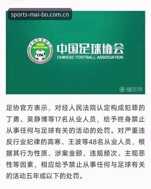 中国足协第三批禁足名单全面评测——迈博体育平台视角下的行业风暴